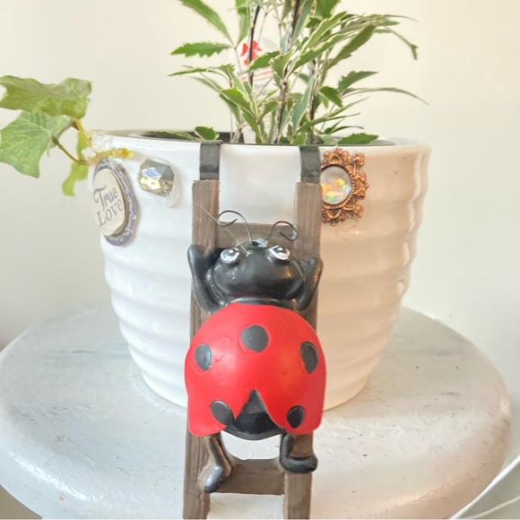 Flower pot hugger ladybug - Picture 8 of 11